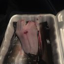 백경수낚시터 이미지