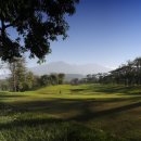 챔피온골프장 이미지