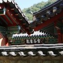 운곡농원 - 8137 | 운곡농원