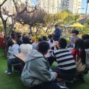 제황초등학교 이미지