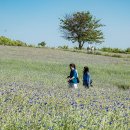 태인목장 이미지