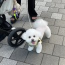 그룸 앤 먼치 이미지