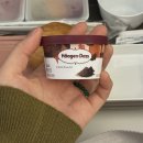 소호 숲 | [홍콩 🇭🇰] 이틀이면 충분할 것 같은 홍콩 여행 ... 후기_침사추이 / 서구룡 문화지구 / 케네디 타운...