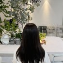 헤어터치염색# | 강남 미용실 염색 아뉴헤어 매트브라운 염색 헤드스파 후기, 퍼스널 컬러 컨설팅까지
