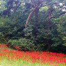 신지생태공원 이미지