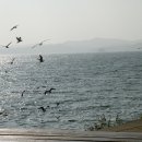 종현어촌마을 이미지