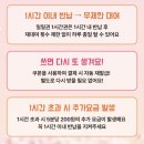티머니GO_공유자전거 | “이거 모르면 손해…” 티머니고(GO) 따릉이 ‘무제한 무료 쿠폰’ 직접 써봤더니