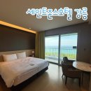 41190-01-07-307 | 강릉애견동반숙소 세인트존스호텔 골져스 더블 수영장 강문주막 조식 후기
