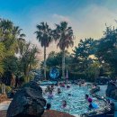 ㈜한타제주판매 | 겨울 제주도 여행 추천 제주 산방산 탄산온천 할인 식당 찜질방 준비물