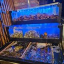 동홍북로 이미지