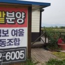 강정보여울협동조합 이미지