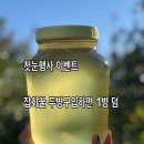 더지리산 Daum카페