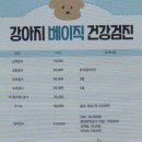 바른걸음 외과 동물병원 | 소하동동물병원 추천! 바른걸음동물병원 건강검진 솔직 후기