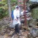 진산주