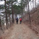 청학산 이미지