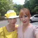 대덕문화체육관 이미지