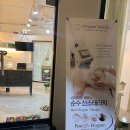 바라보다;봄