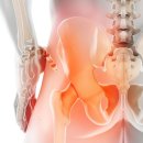 죽전정형외과의원 이미지