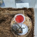 케이지팜(주) 이미지