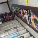 와룡복싱 이미지