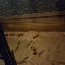 강남대로107길 24 이미지