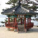 웅포농장 이미지