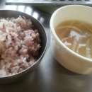 상록식당