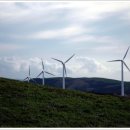 백산목장 이미지