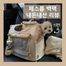 내돈내산 페스룸 백팩 가벼운 강아지 고양이 이동가방 후기이자 추천