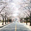 계명대학교행소박물관 이미지