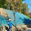 도구머리공원 이미지