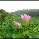 연꽃방죽체육공원 이미지