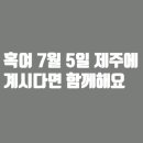 쁘띠동백 Daum카페