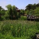 숲속에 바다 이미지