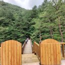삼척 활기 치유의 숲 이미지