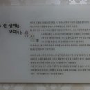 미당서정주의 집 이미지