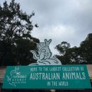 Sydney(4) - 시드니 여행, 페더데일 동물원 오픈런 + 블루마운틴 투어, 시드니 재즈바 휴버트, 오페라...