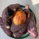 참조은농장 이미지