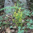 김종섭농장 이미지