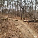 빼올약수터 이미지