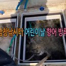 남창낚시터 이미지