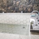 하도하도 3200 이미지