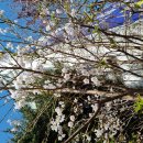 경희키즈스쿨어린이집 이미지