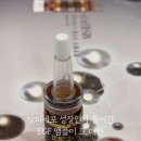 엠에스투