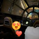 랜드파크 | LA 근교 여행 애너하임 디즈니랜드파크 방문 후기, 꿀팁 총정리