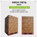 아이스랑문구랑 이미지