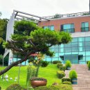 세마지 | 세마역 맛집 '예찬' 오산 한정식, 남편이랑 다녀온 평일특선D 솔직 후기.