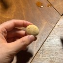 비학농원 | 파주 캠핑장 애견동반 가능 비학농원 오토캠핑장 B구역 6사이트 추천 단풍 명소