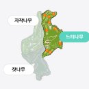 숲에그린골프클럽 | 가평 아난티 코드 골프클럽 라운딩_느티나무/자작나무 코스