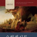 NICNT 요한계시록 (NICNT 신약 주석 시리즈) [저자/역자 : 로버트 마운스/장규성 | 출판사 : 부흥과개혁사, 발행일 : 2019-02-10 | 신국판 양장 538p 이미지